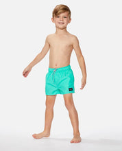 Load image into Gallery viewer, Rip Curl Bondi Volley Boys Swim Shorts
