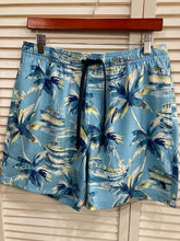 Load image into Gallery viewer, Salt Life Sandbar Sunday Mens Swim Shorts
