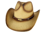 Coco West Mens Western Hat