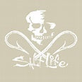 Load image into Gallery viewer, Salt Life Skull and Hooks Decal SAD902
