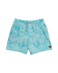 Load image into Gallery viewer, Quiksilver Surfsilk Mens Mix Volley 17

