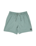 Load image into Gallery viewer, Quiksilver Everyday Volley 17 Shorts

